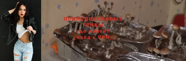mdpv Богородск
