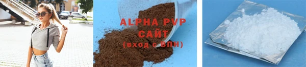 хмурый Белокуриха