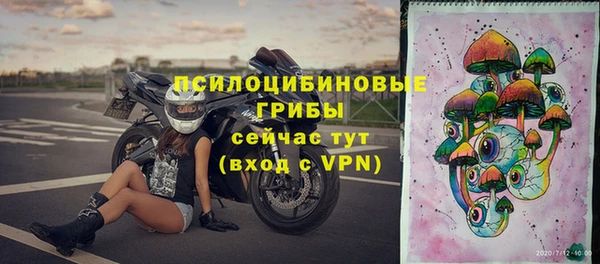 ALPHA-PVP Богданович