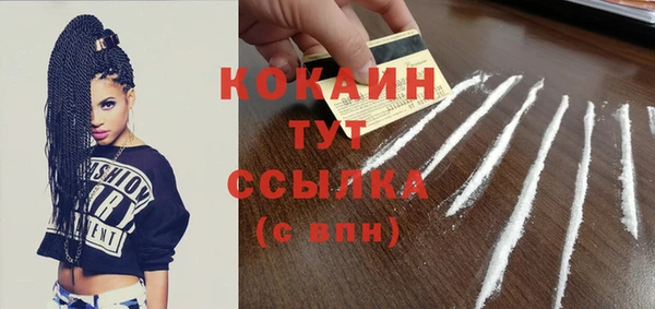 хмурый Белокуриха